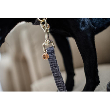 Correa para perro Wool Longue Kentucky Correa para perro Wool Longue Kentucky