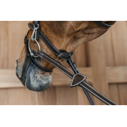 Bridon Working by Dy'on muserola combinada con mosquetones Castaño Marrón