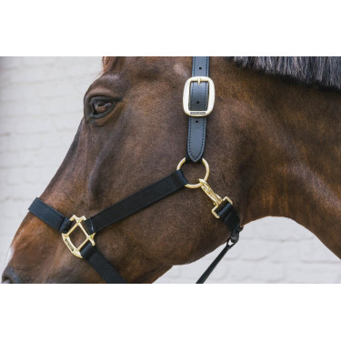 Cabezada de nailon Breakaway Kentucky Cabezada de nailon Breakaway Kentucky