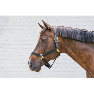 Cabezada de nailon Breakaway Kentucky Cabezada de nailon Breakaway Kentucky