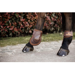 Protector de menudillo Deep para caballos jóvenes Kentucky