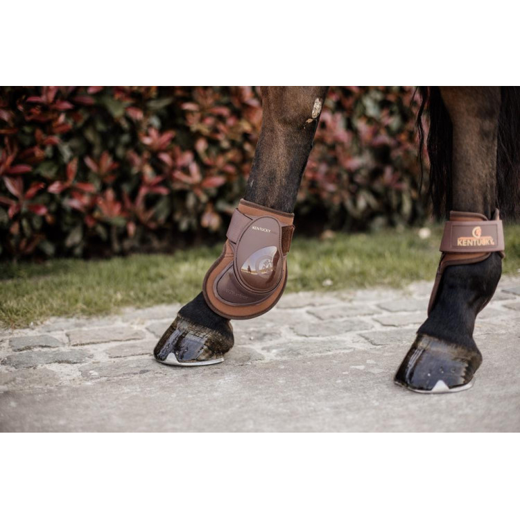 Protector de menudillo Deep para caballos jóvenes Kentucky