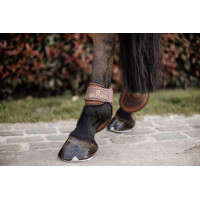Protector de menudillo Deep para caballos jóvenes Kentucky Castaño Marr&amp;amp;amp;oacute;n