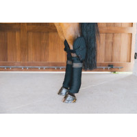 Sotto Fascia da Scuderia e da Trasporto con Protezione del Garretto Kentucky Negro