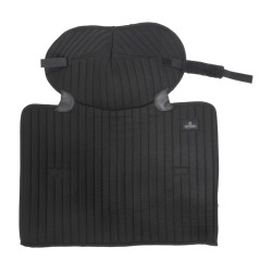 Sotto Fascia da Scuderia e da Trasporto con Protezione del Garretto Kentucky Negro