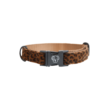 Collar para perro Leopardo Kentucky Collar para perro Leopardo Kentucky