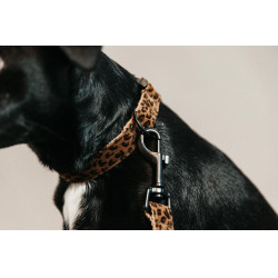 Collar para perro Leopardo Kentucky Marrón leopardo Collar para perro Leopardo Kentucky Marrón leopardo