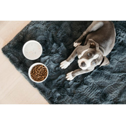 Cuenco para perro Bamboo Terrazzo Kentucky