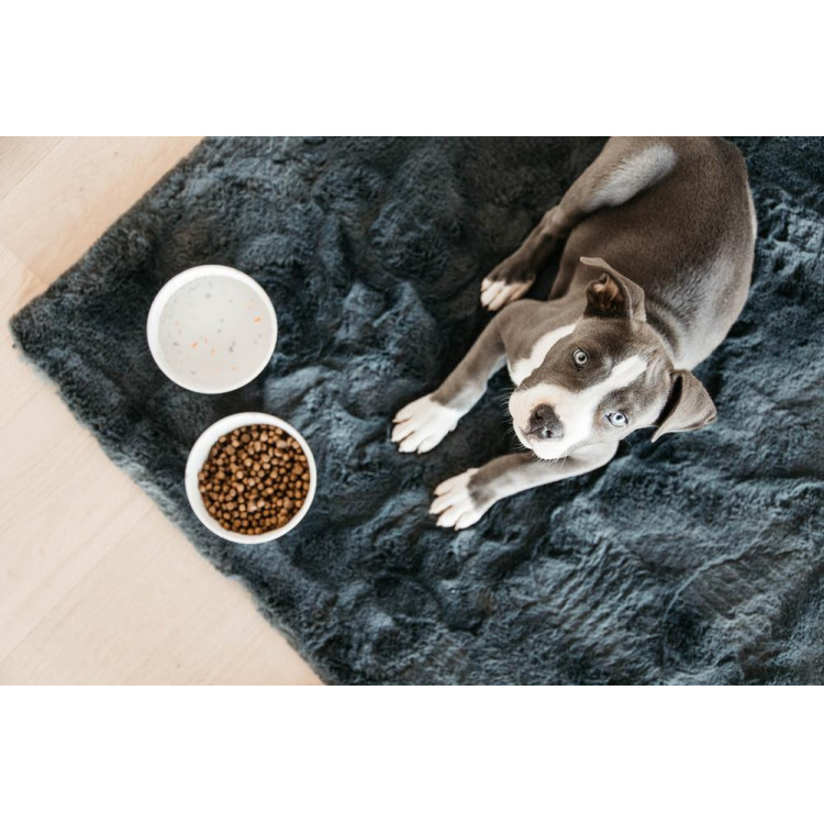 Cuenco para perro Bamboo Terrazzo Kentucky