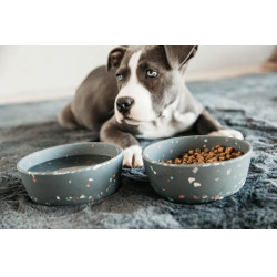 Cuenco para perro Bamboo Terrazzo Kentucky