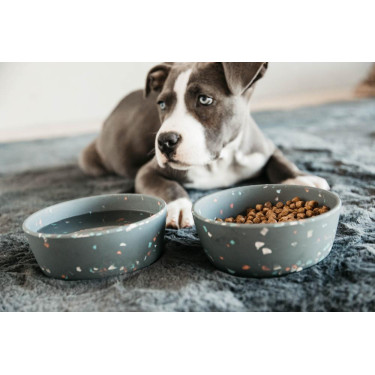 Cuenco para perro Bamboo Terrazzo Kentucky