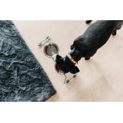 Cuenco para perro Confort Kentucky Azul empolvado Cuenco para perro Confort Kentucky Azul empolvado