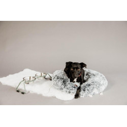 Cuenco para perro Confort Kentucky Verde polvoriento