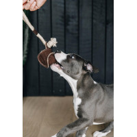 Juguete para perro Cuerda de Algodón Béisbol Kentucky Castaño Marr&amp;amp;amp;oacute;n