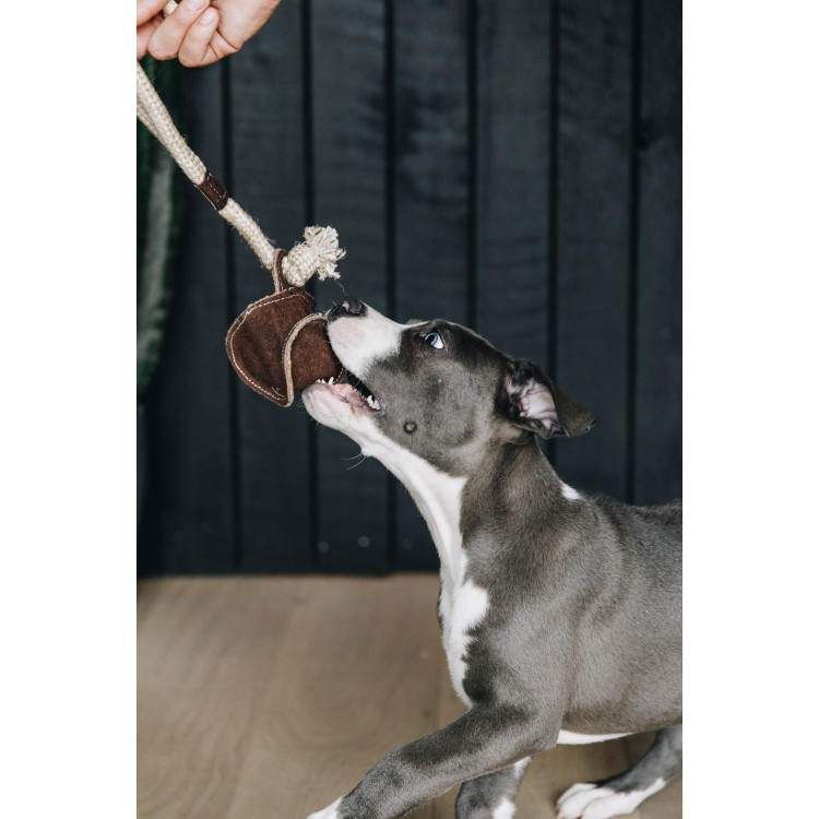 Juguete para perro Cuerda de Algodón Béisbol Kentucky