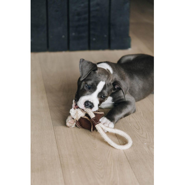 Juguete para perro Cuerda de Algodón Béisbol Kentucky Juguete para perro Cuerda de Algodón Béisbol Kentucky