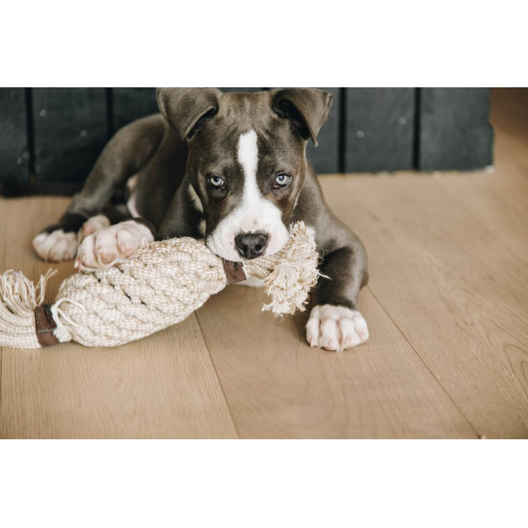 Juguete para perro Cuerda de Algodón Piña Kentucky