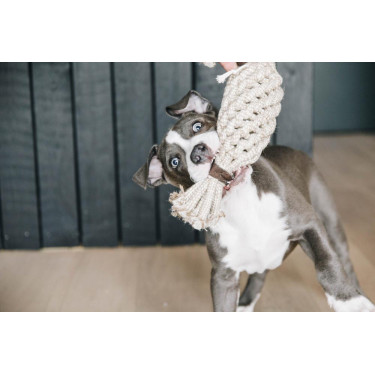 Juguete para perro Cuerda de Algodón Piña Kentucky Juguete para perro Cuerda de Algodón Piña Kentucky