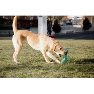 Juguete para perro Pastel Bone Kentucky Esmeralda Verde