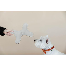 Juguete para perro Pastel Bone Kentucky