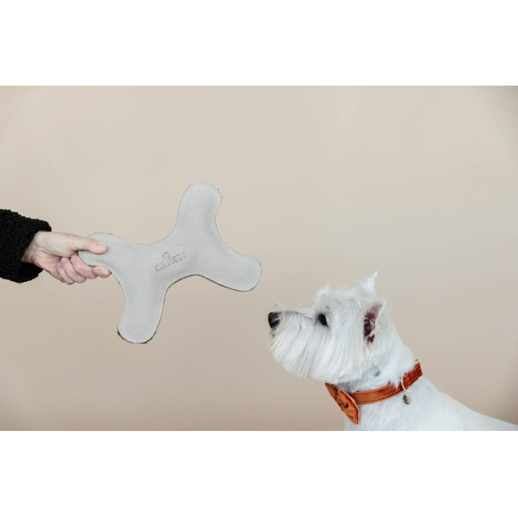 Juguete para perro Pastel Bone Kentucky