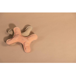 Juguete para perro Pastel Bone Kentucky Melocotón Rosa