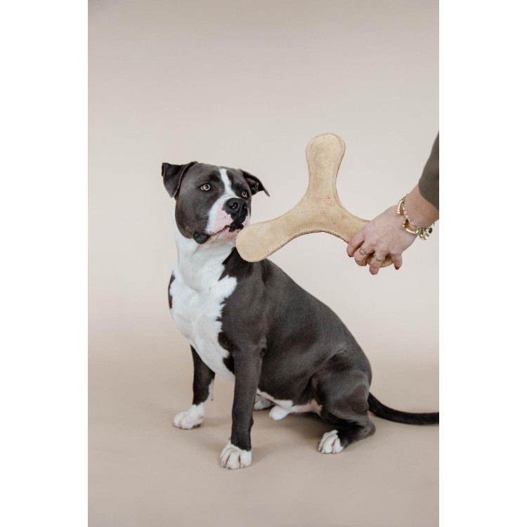 Juguete para perro Boomerang Pastel Kentucky
