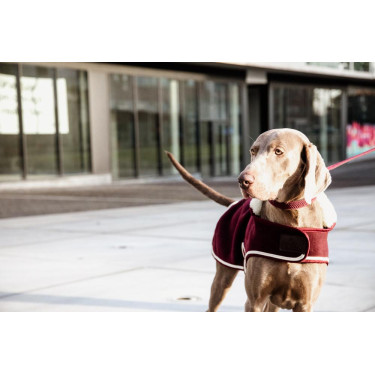 Abrigo para perro Heavy Fleece Kentucky Abrigo para perro Heavy Fleece Kentucky