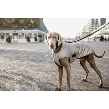 Abrigo para perro Kentucky reflectante y repelente al agua con protección ventral Abrigo para perro Kentucky reflectante y repelente al agua con protección ventral