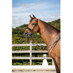 Brida Dy'on Muserola Ancha Barnizada colección dressage cuero redondo