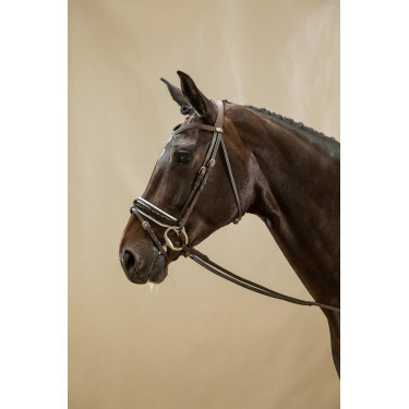 Brida Working by Dy'on Muserola Combinada Ancha Barnizada Forro Blanco Marrón Brida Working by Dy'on Muserola Combinada Ancha Barnizada Forro Blanco Marrón