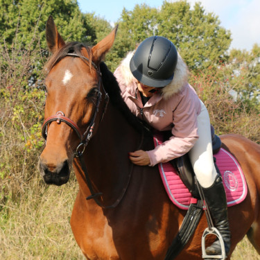 Almohadilla de montar Rider Harcour Karembar Colorete Rosa Almohadilla de montar Rider Harcour Karembar Colorete Rosa