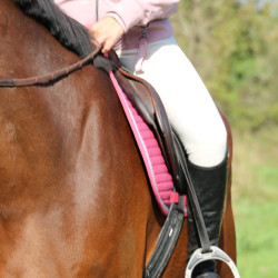 Almohadilla de montar Rider Harcour Karembar Colorete Rosa Almohadilla de montar Rider Harcour Karembar Colorete Rosa