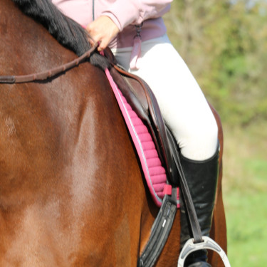 Almohadilla de montar Rider Harcour Karembar Colorete Rosa Almohadilla de montar Rider Harcour Karembar Colorete Rosa