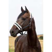 Cabezada Howard Crescendo Horze Negro Cabezada Howard Crescendo Horze Negro