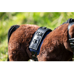 Set de longe Cuddle Pony HKM Set de longe Cuddle Pony HKM