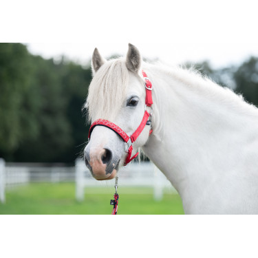 Cabezada Aymee HKM Roja Rojo