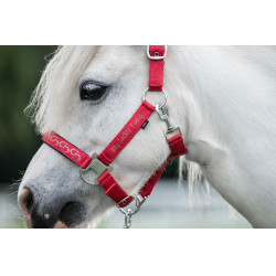 Cabezada Aymee HKM Roja Rojo