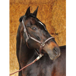 Cabezada de cuero Diamond HKM Cabezada de cuero Diamond HKM