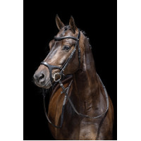 Brida Anatómica Sports HKM Castaño Marr&amp;oacute;n