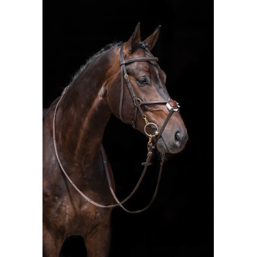 Brida estilo mexicano reforzada, borreguillo HKM Castaño Marrón