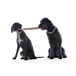 Juguete para perro Buddy Knot Bone HKM Juguete para perro Buddy Knot Bone HKM