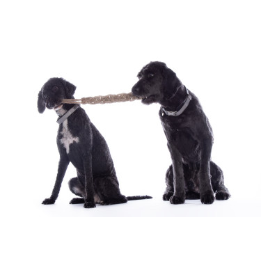 Juguete para perro Buddy Knot Bone HKM Juguete para perro Buddy Knot Bone HKM