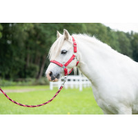 Longe Aymee con mosquetón HKM Roja Rojo