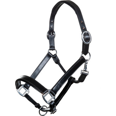 Lederen halster Economic HKM Negro