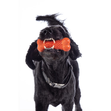 Juguete para perro Buddy Bone III caucho natu. HKM Juguete para perro Buddy Bone III caucho natu. HKM