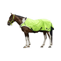 new Amarillo fluorescente new Amarillo fluorescente
