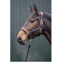 Cabezada Luna de cuero y nailon HKM Azul oscuro / marrón