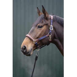 Cabezada Luna de cuero y nailon HKM Azul oscuro / marrón Cabezada Luna de cuero y nailon HKM Azul oscuro / marrón