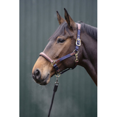 Cabezada Luna de cuero y nailon HKM Azul oscuro / marrón Cabezada Luna de cuero y nailon HKM Azul oscuro / marrón